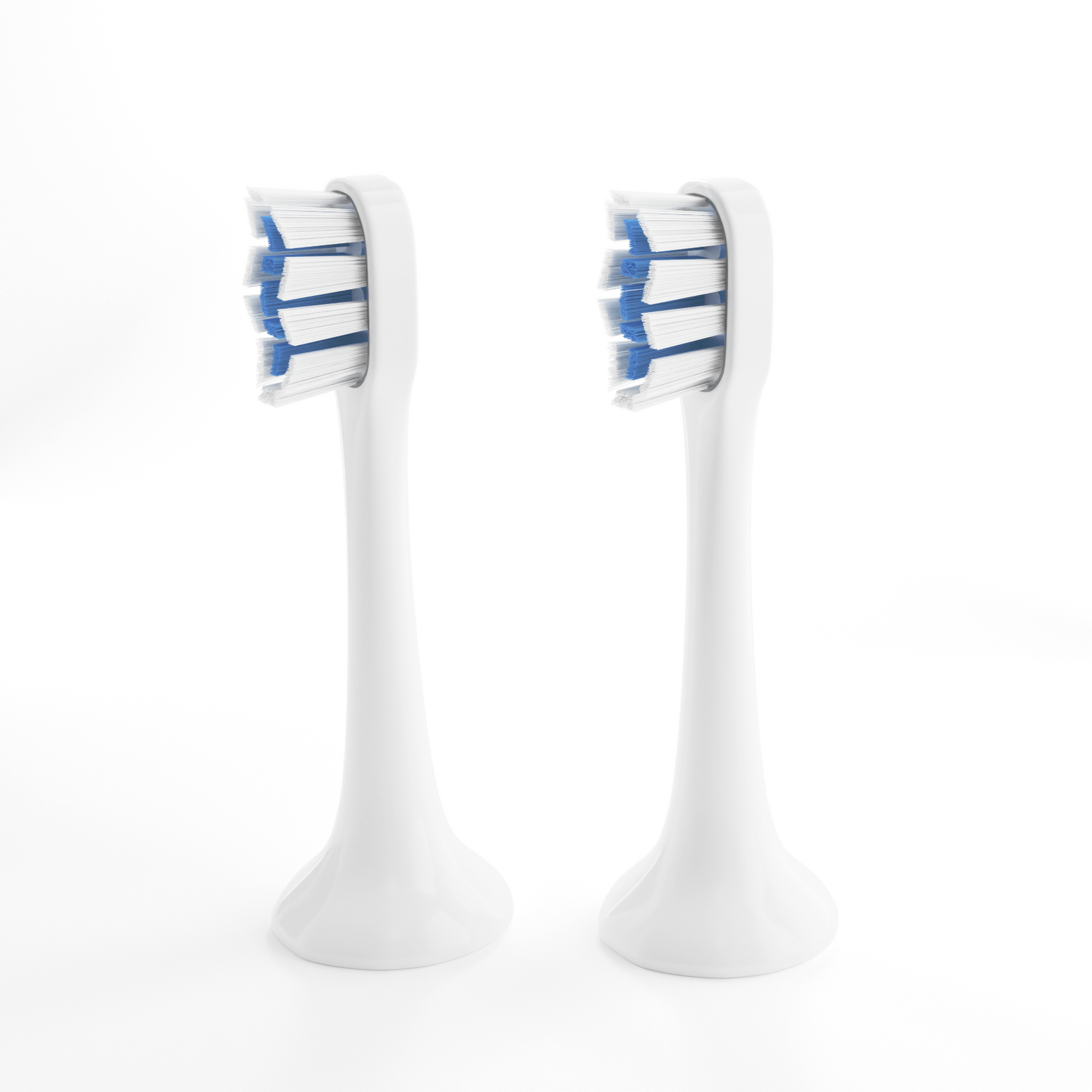 Brush Heads Refill (2 Pack)