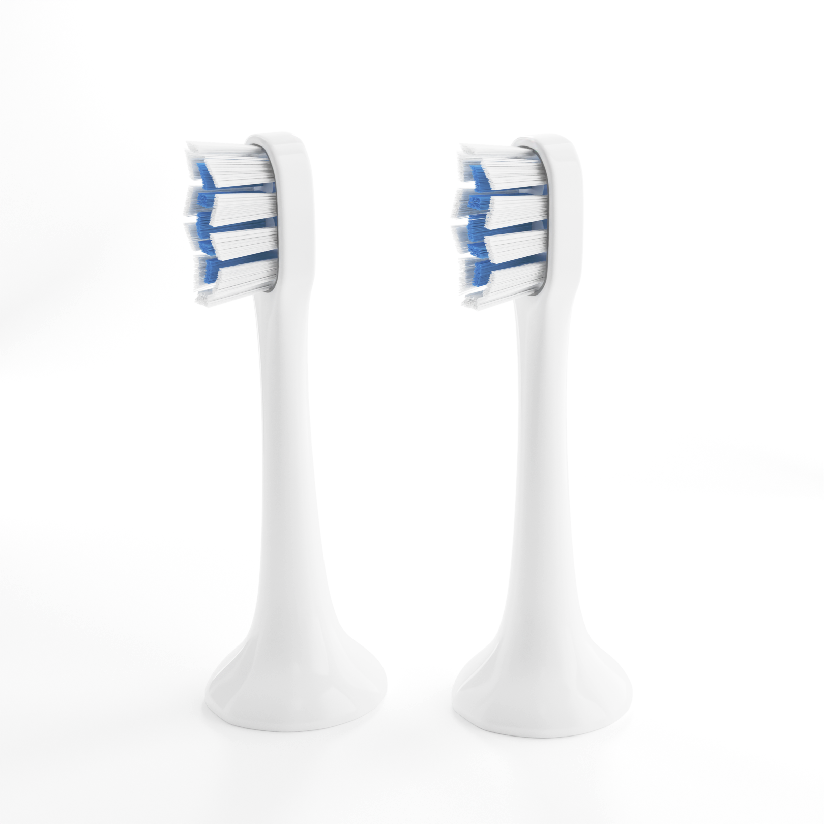 Brush Heads Refill (2 Pack)